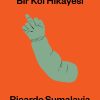 Bir Kol Hikayesi | Ricardo Sumalavia